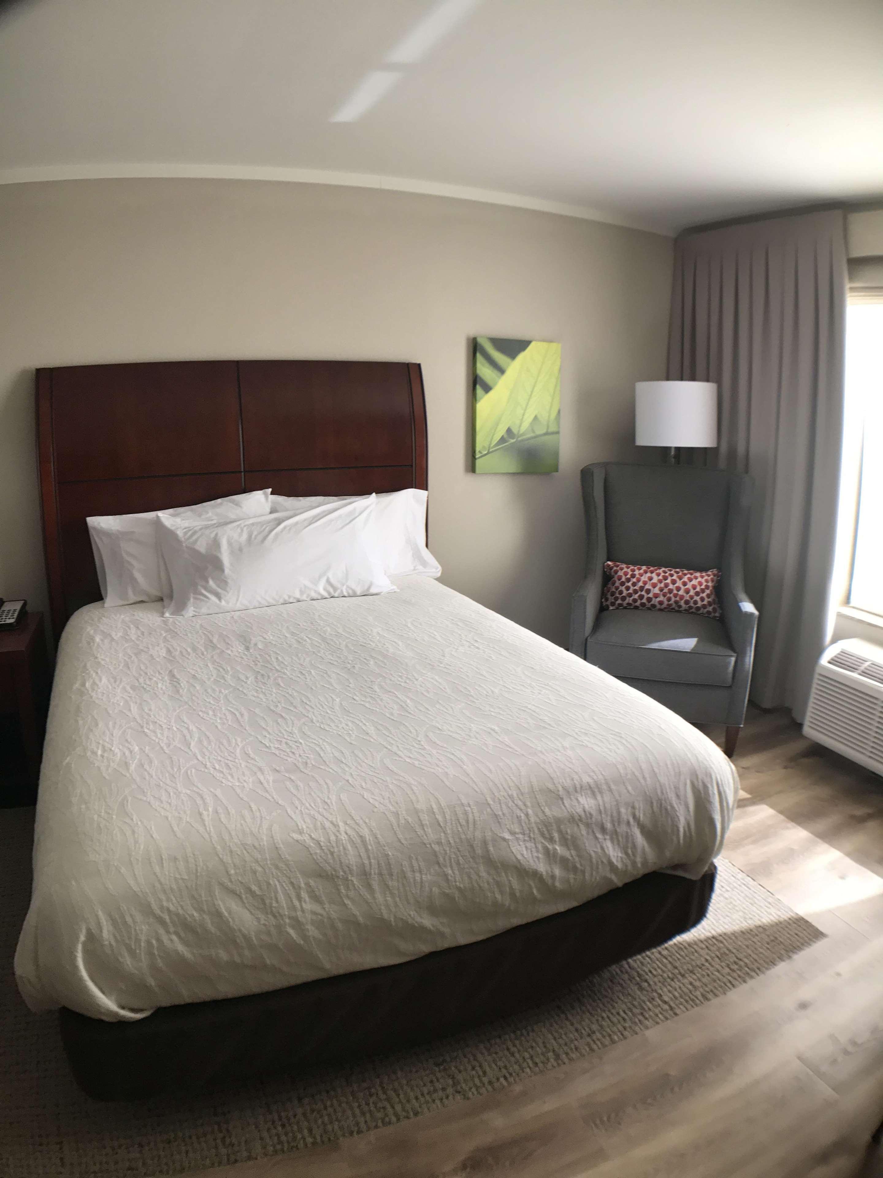 Hilton Garden Inn Bowling Green Eksteriør billede