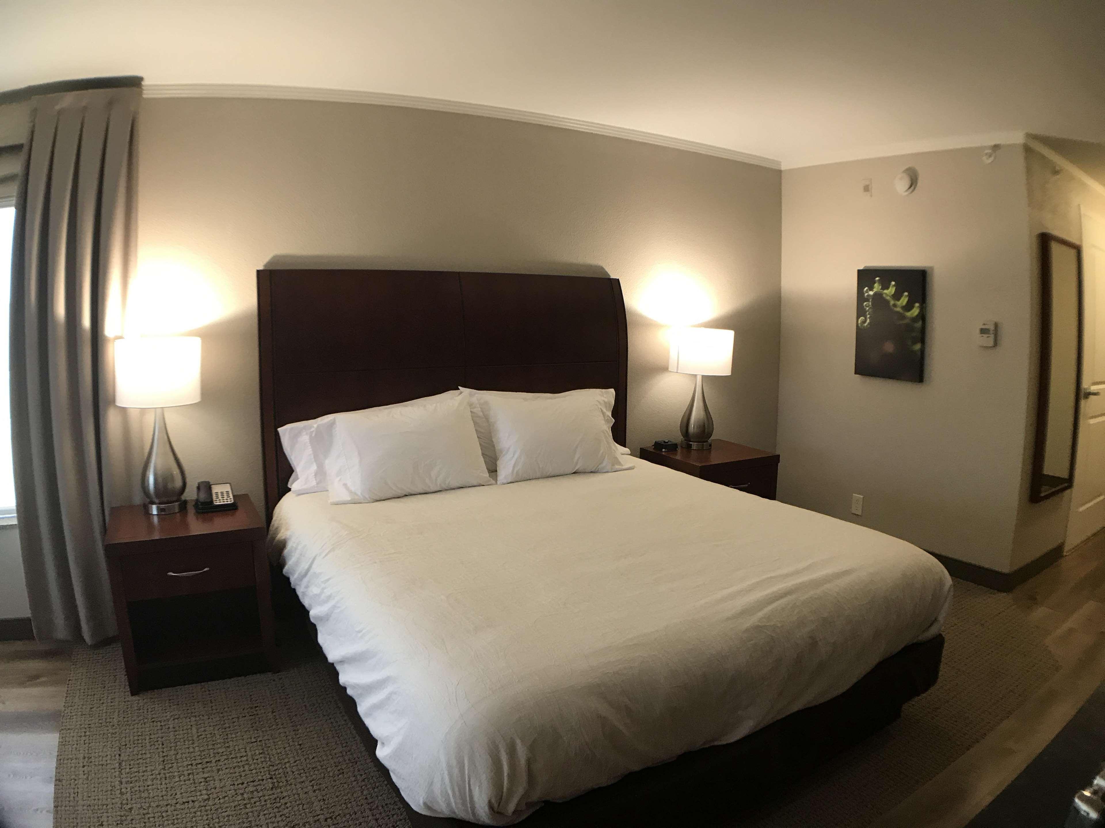 Hilton Garden Inn Bowling Green Eksteriør billede