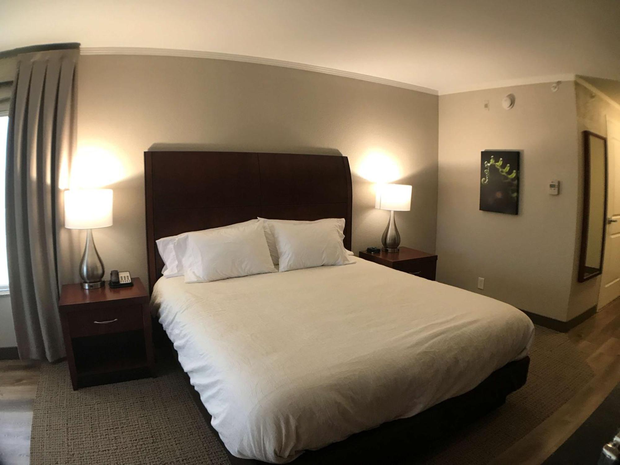 Hilton Garden Inn Bowling Green Eksteriør billede